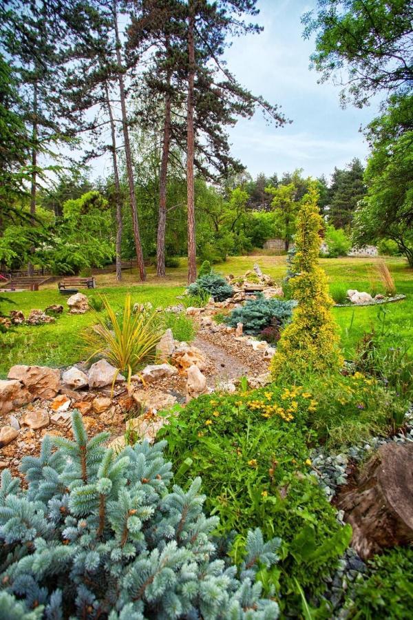 Borov Park 1 *