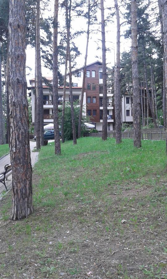 Borov Park 1 Apartment *